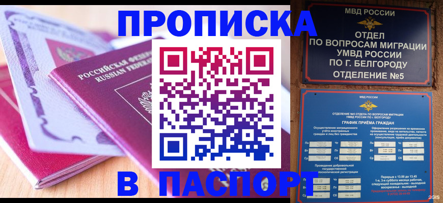 временная регистрация законно в Камчатской области
